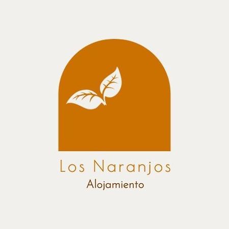 Alojamiento Los Naranjos Piscina Y Parking Gratuito Jaén Exteriör bild