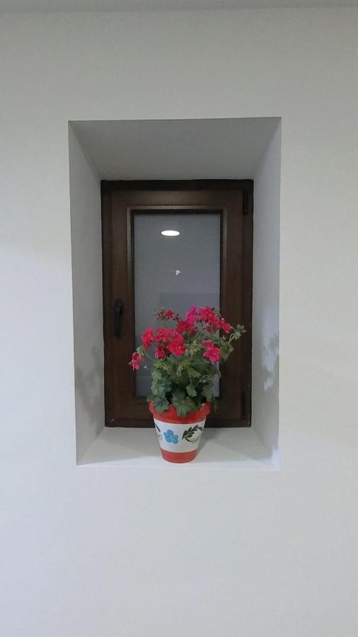 Alojamiento Los Naranjos Piscina Y Parking Gratuito Jaén Exteriör bild